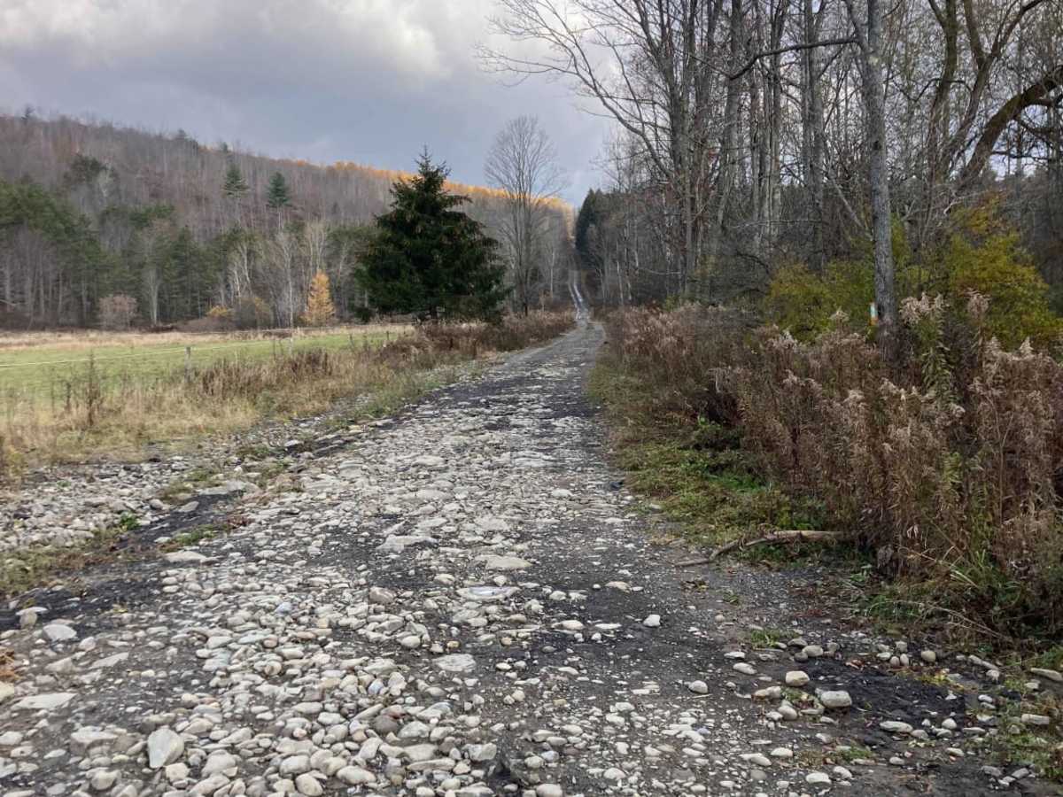Maple Lane trail photo