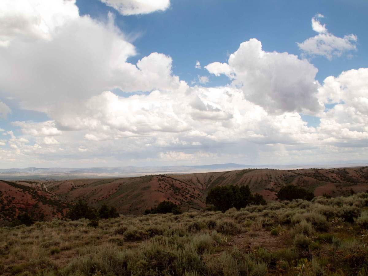 Cutoff Ridge Road (BLM AR13) photo 3