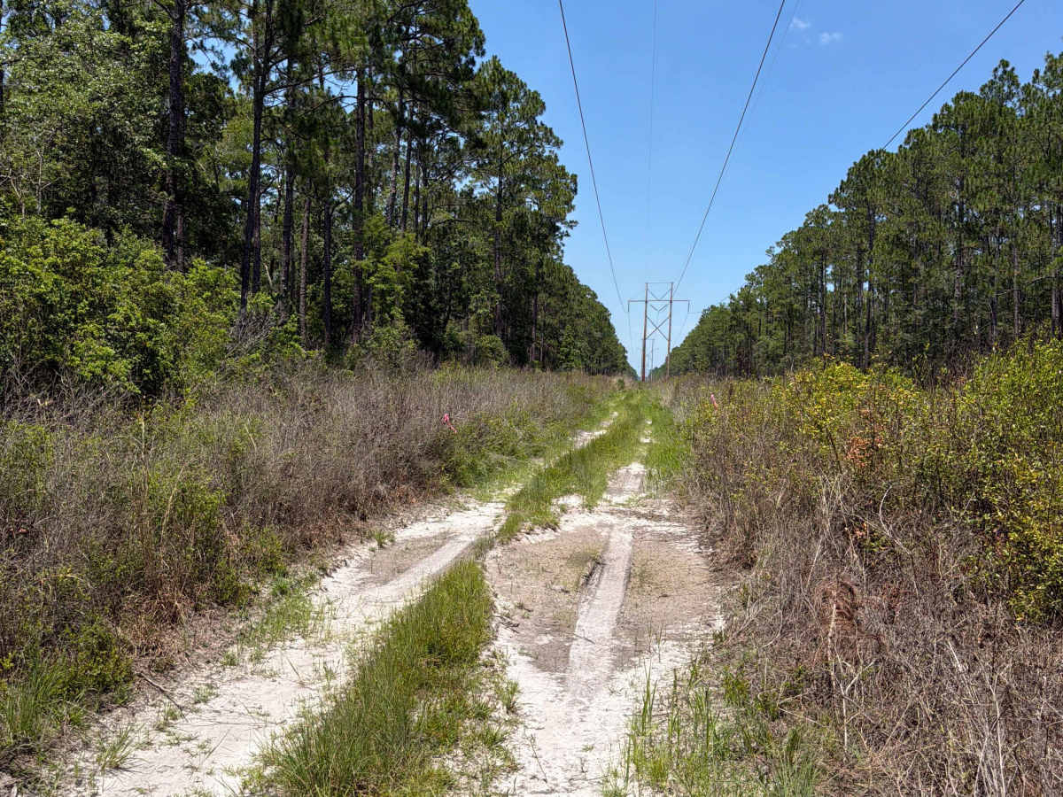 Powerline - FS 365J photo 5