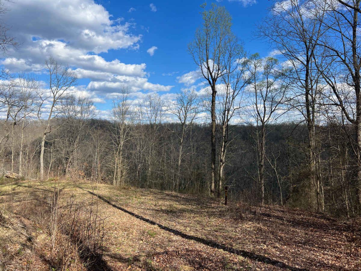 Q57A trail photo