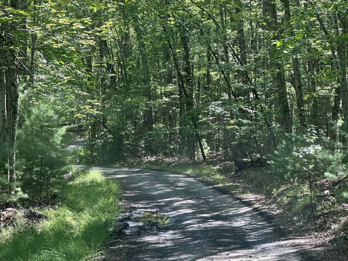 Range Road photo 3