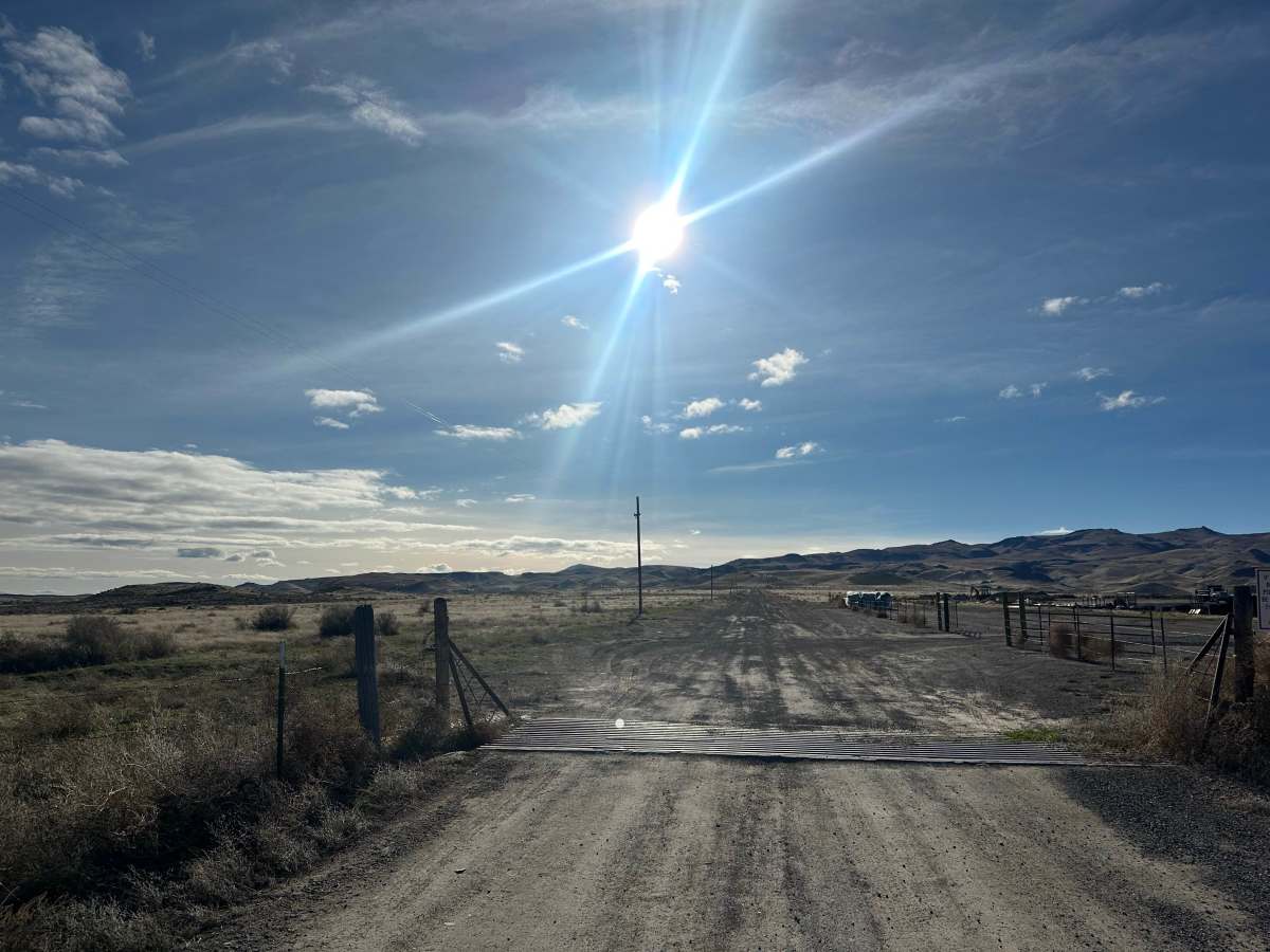 Rats Nest Gulch photo 4