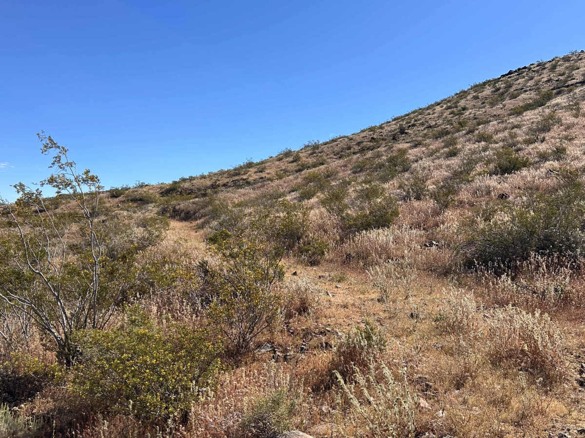 Windmill Trail photo 5