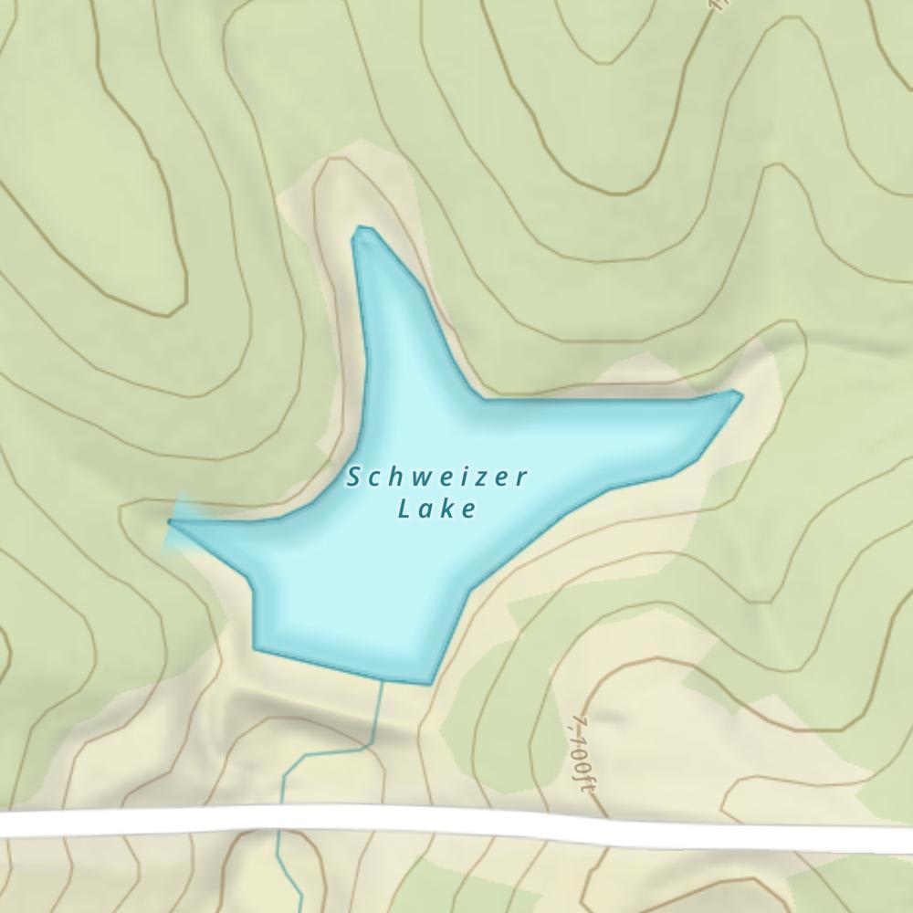 Schweizer Lake photo