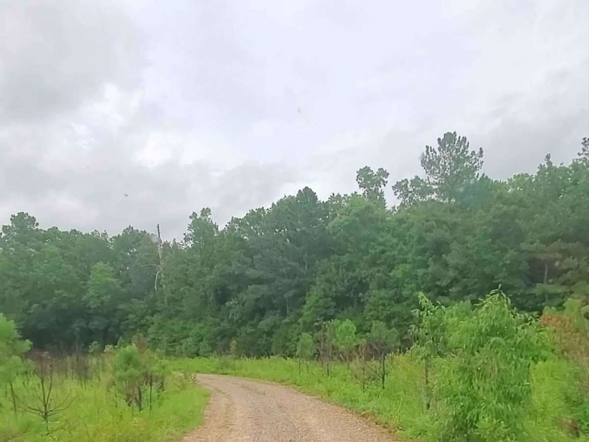 Price Road (615) photo 3