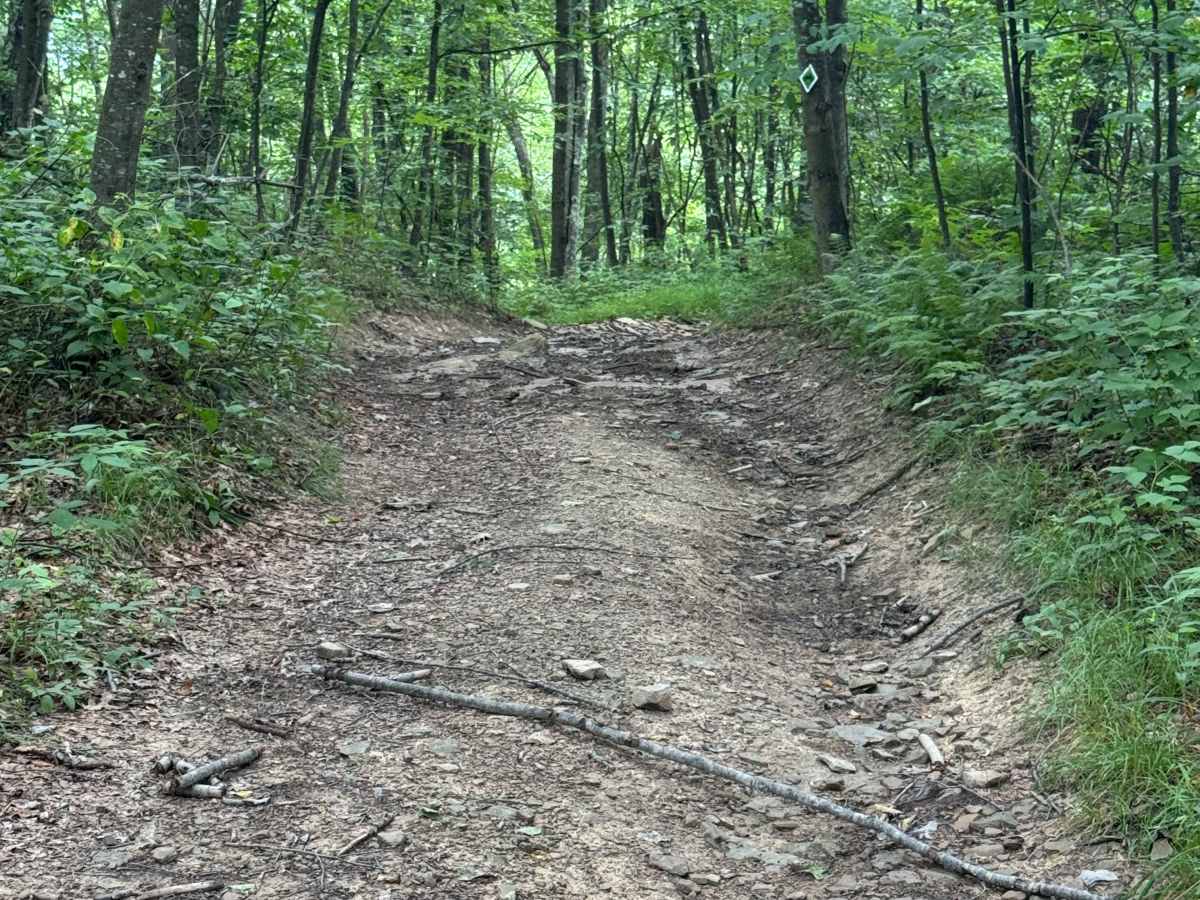 Trail 79 photo 2