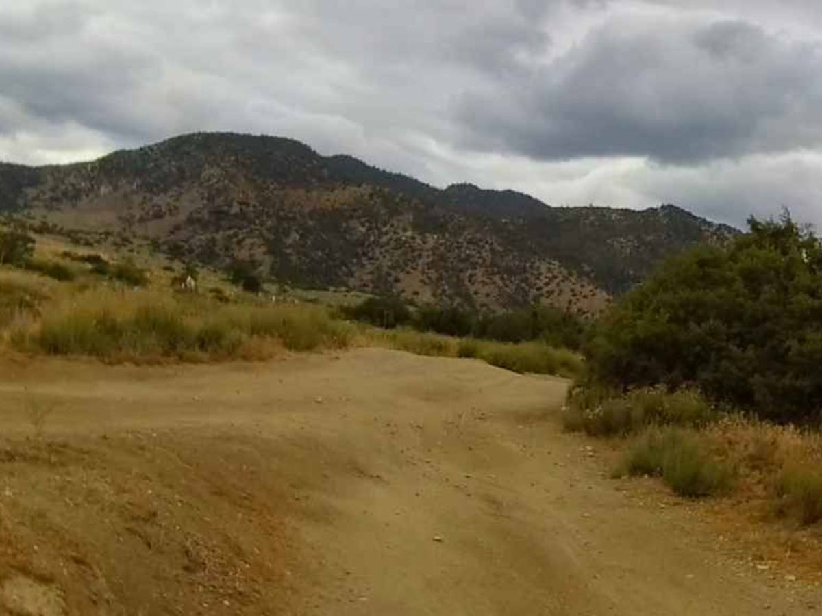 Jack Rabbit Trail photo 5