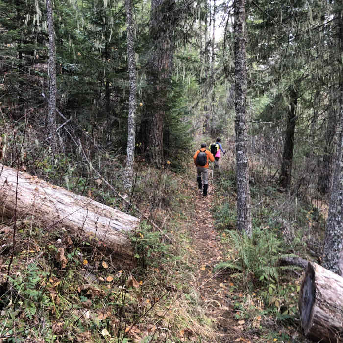 Near Buck Creek Trail #3073