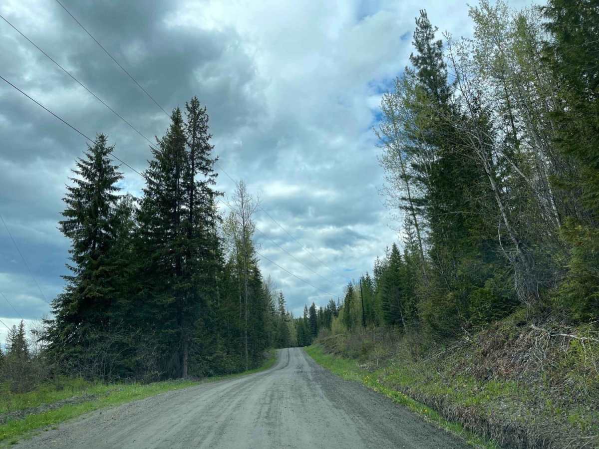 Bobby Burns Road trail photo