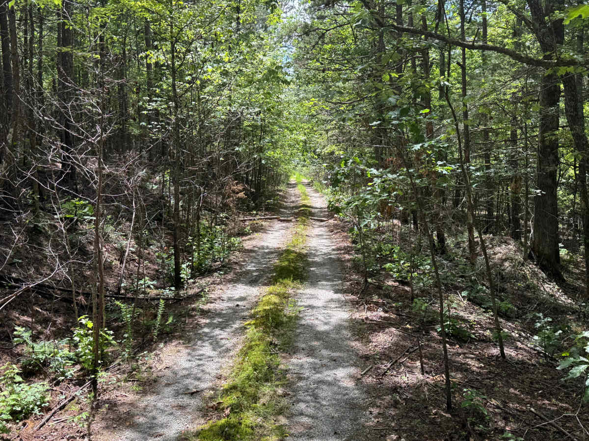 Shirley Creek photo 5