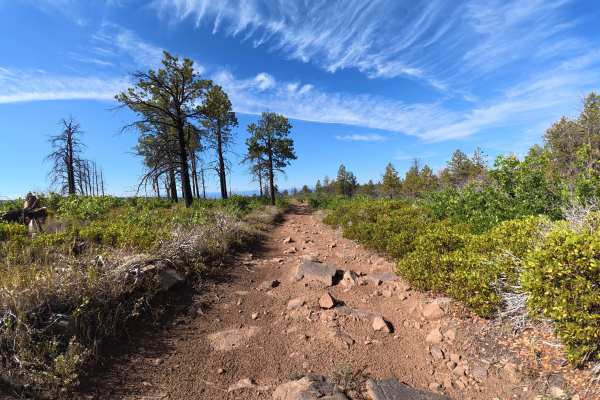 West Mesa Creek Road