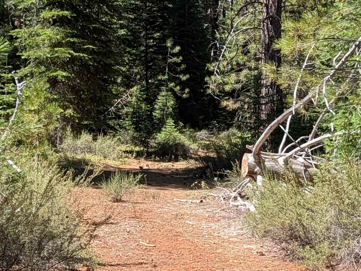 Hutalot - FS 41N88 trail photo