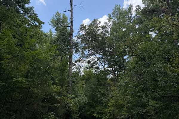 Perry Creek