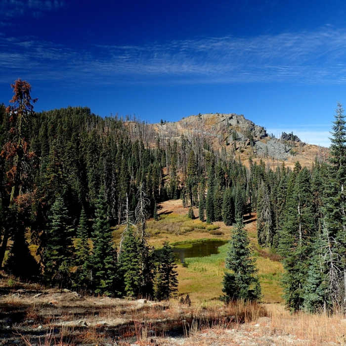 A small unnamed lake just off the Red Rock Trail Near Red Rock Trail #5538