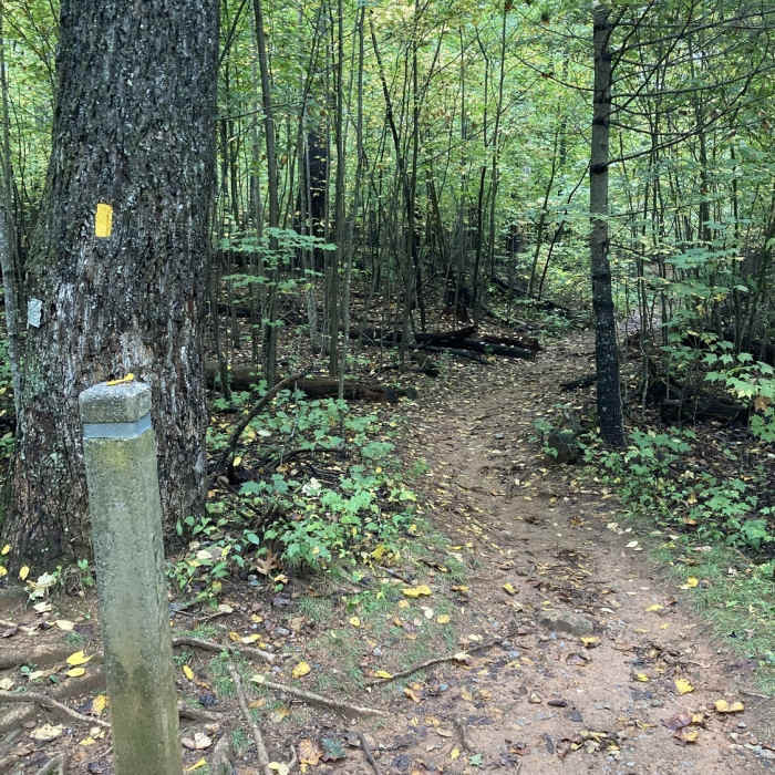 Near White Rocks Trail