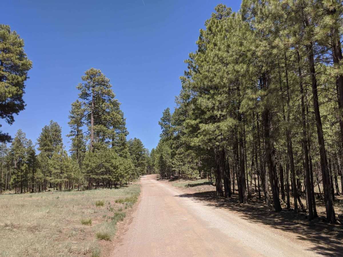 Fry Park trail photo