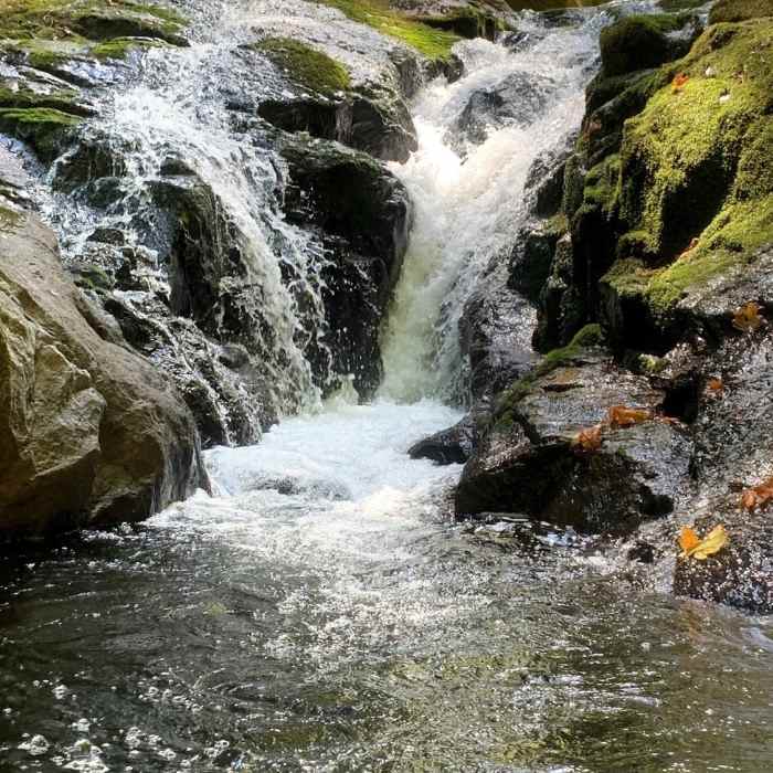 Cascade of water below Punch Bowl Falls Near Sweet Creek Trail #1319
