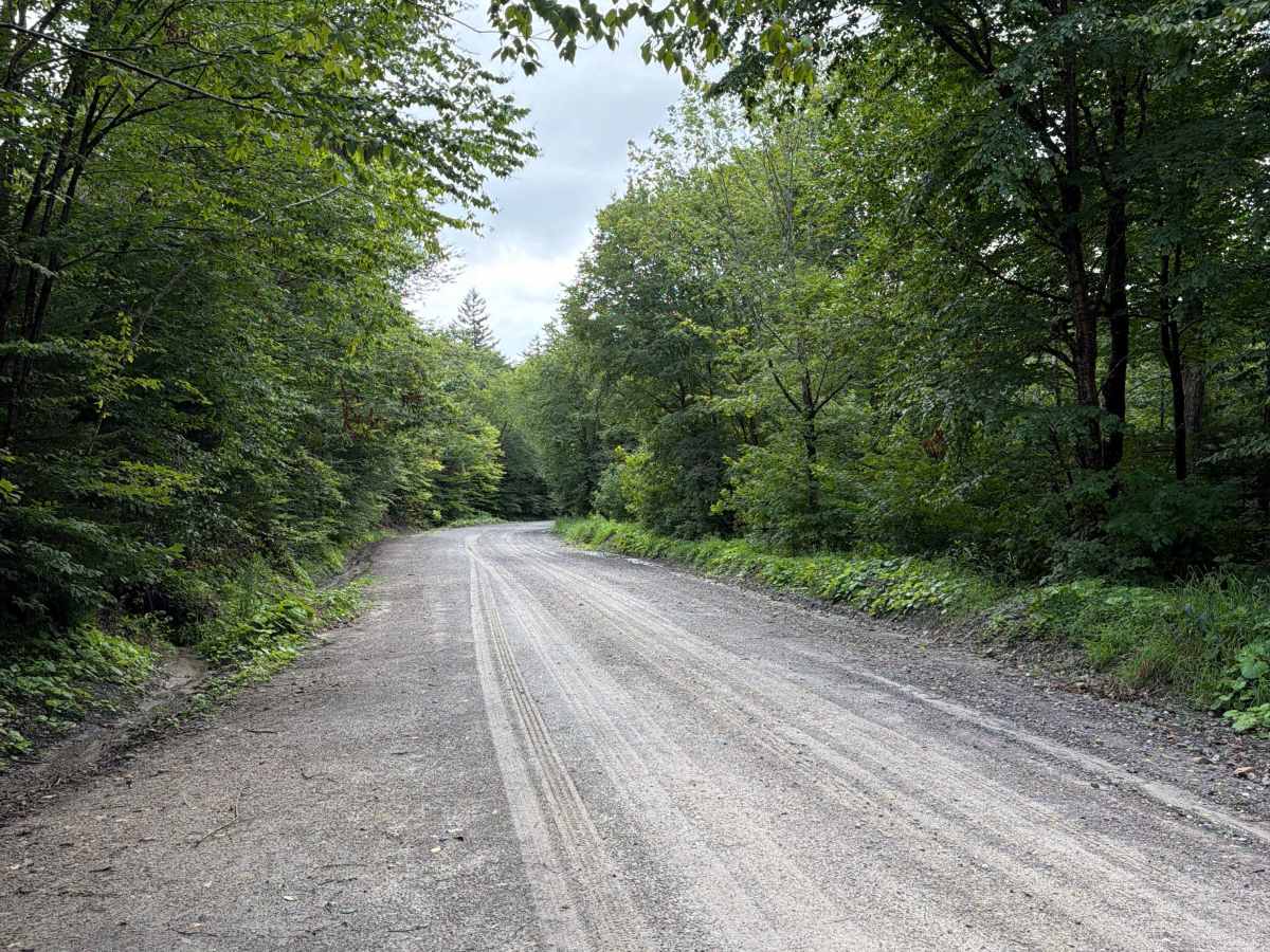 Brier Knob Road photo 2