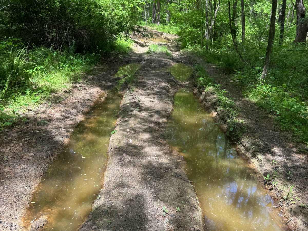 Shelby Cemetery Trail photo 3