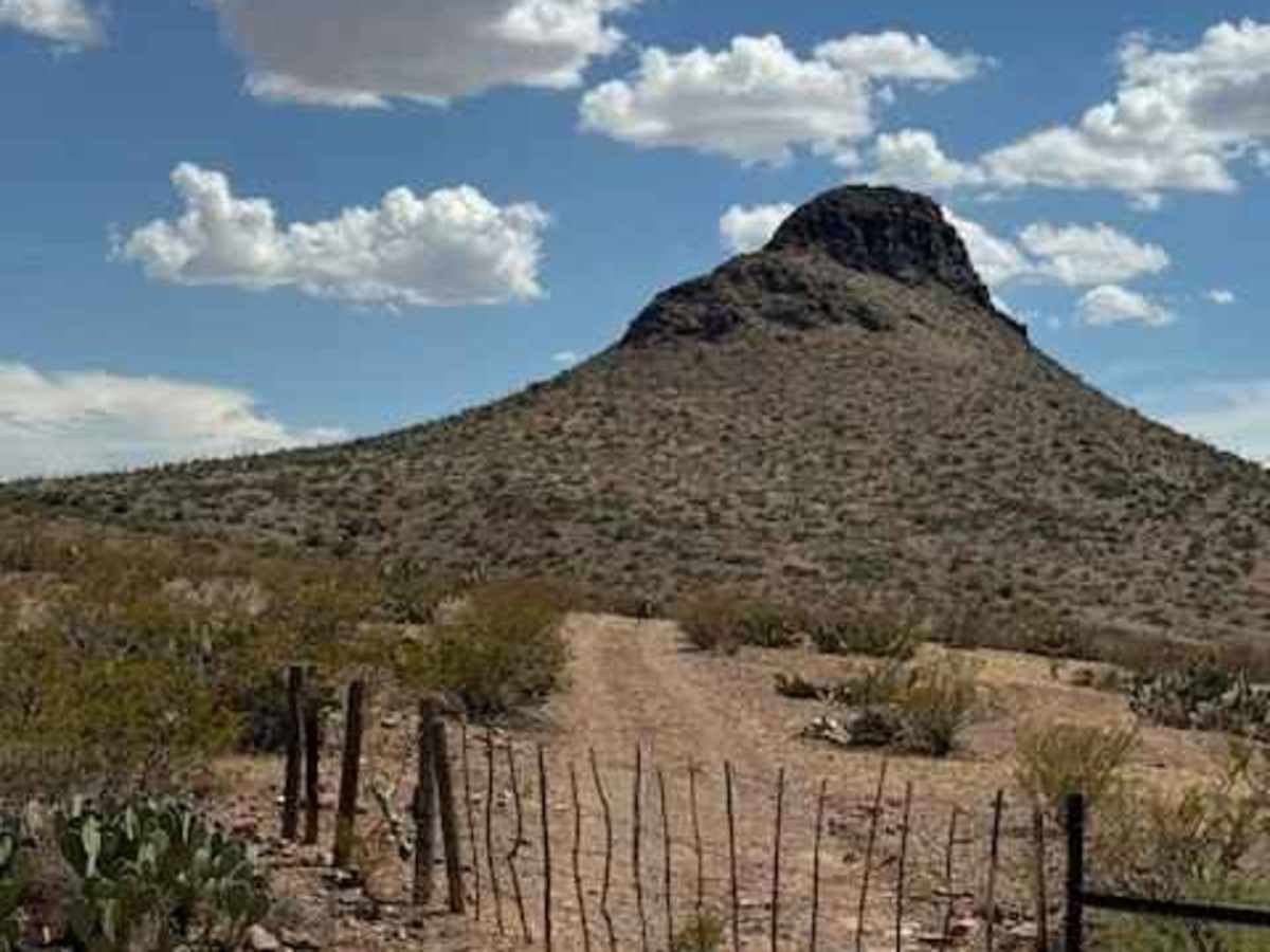 BLM PE1137 photo 3