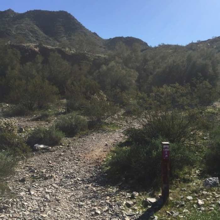 Trail marker Near Quartz Ridge Trail #8A