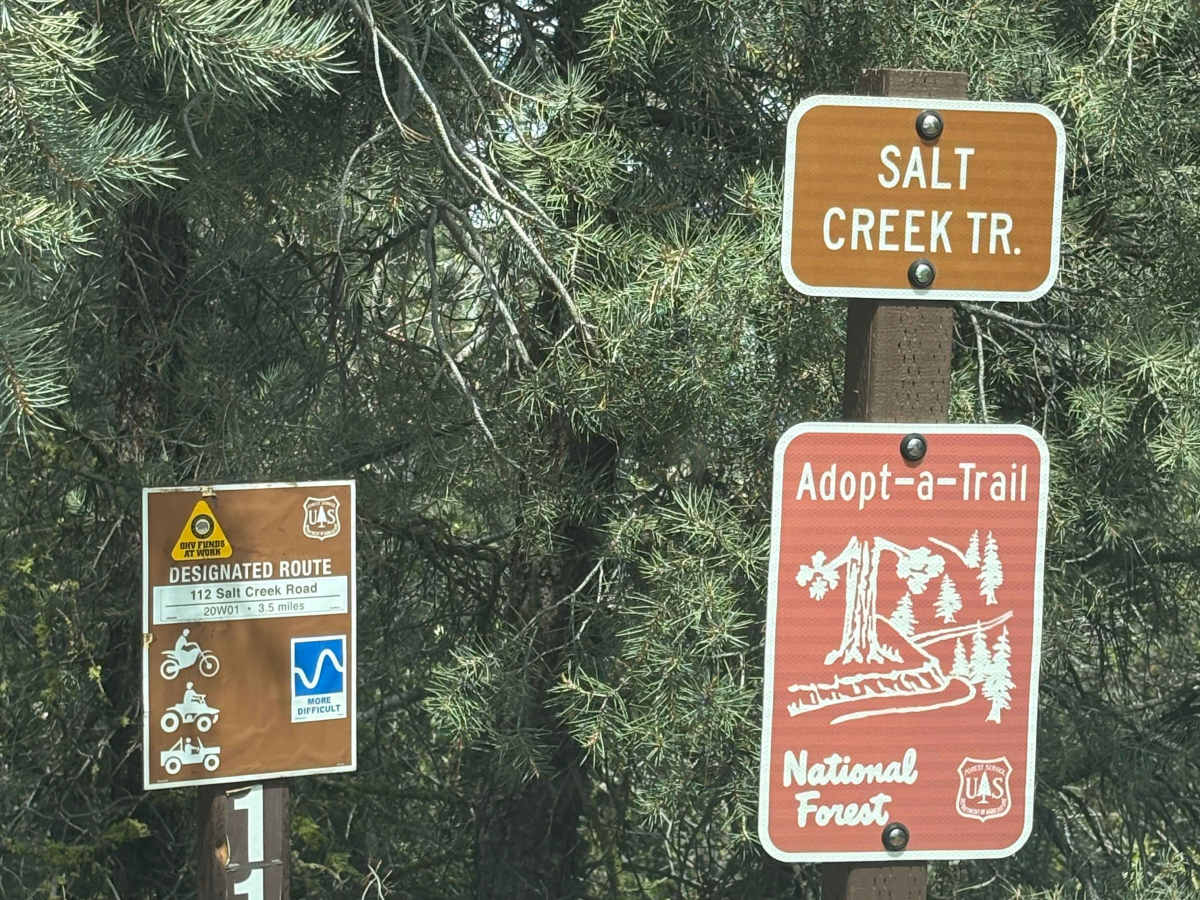 Salt Creek photo 3