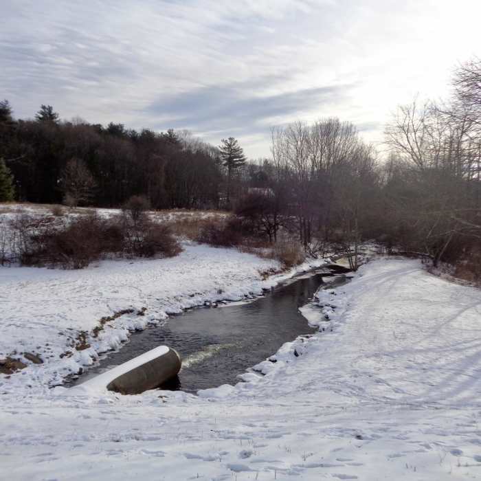 Near Cold Harbor Trail