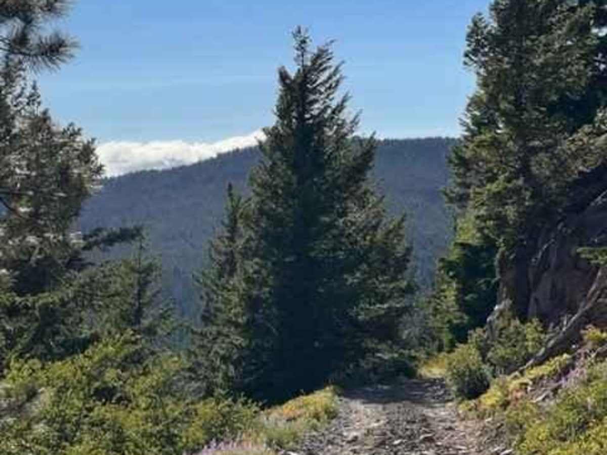 Badger Lake Via Bennett Pass photo 3