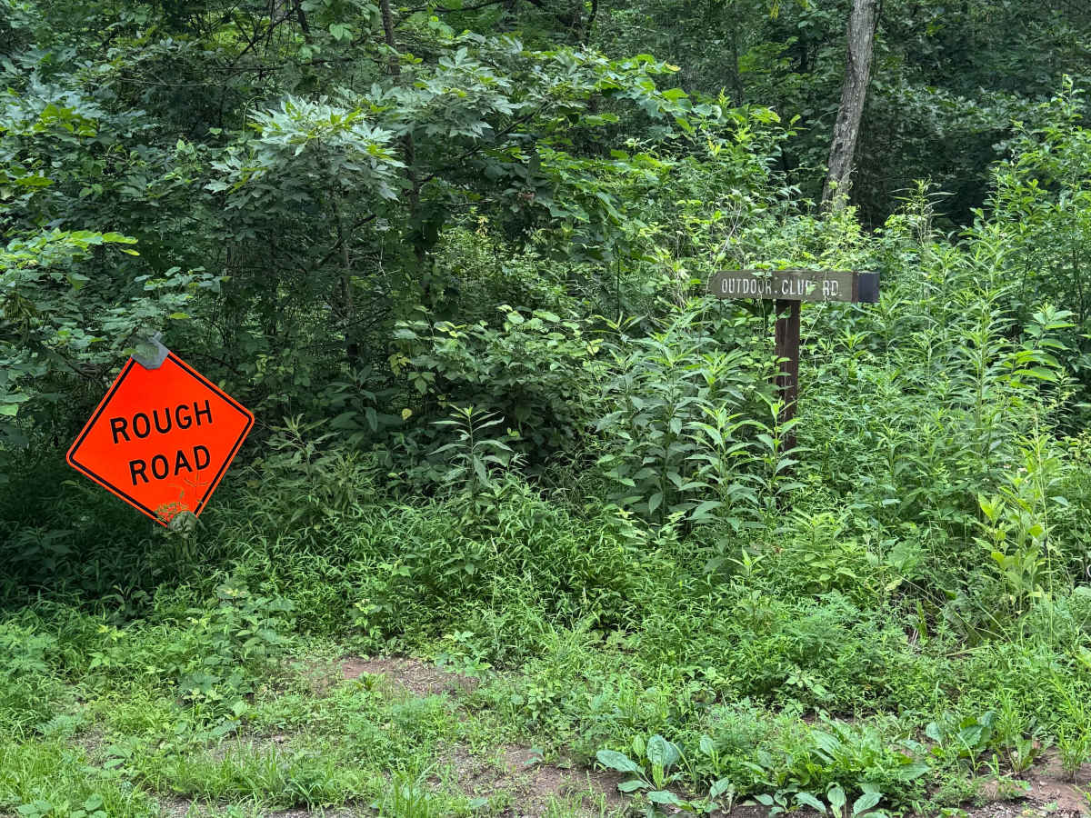 Outdoor Club Road trail photo
