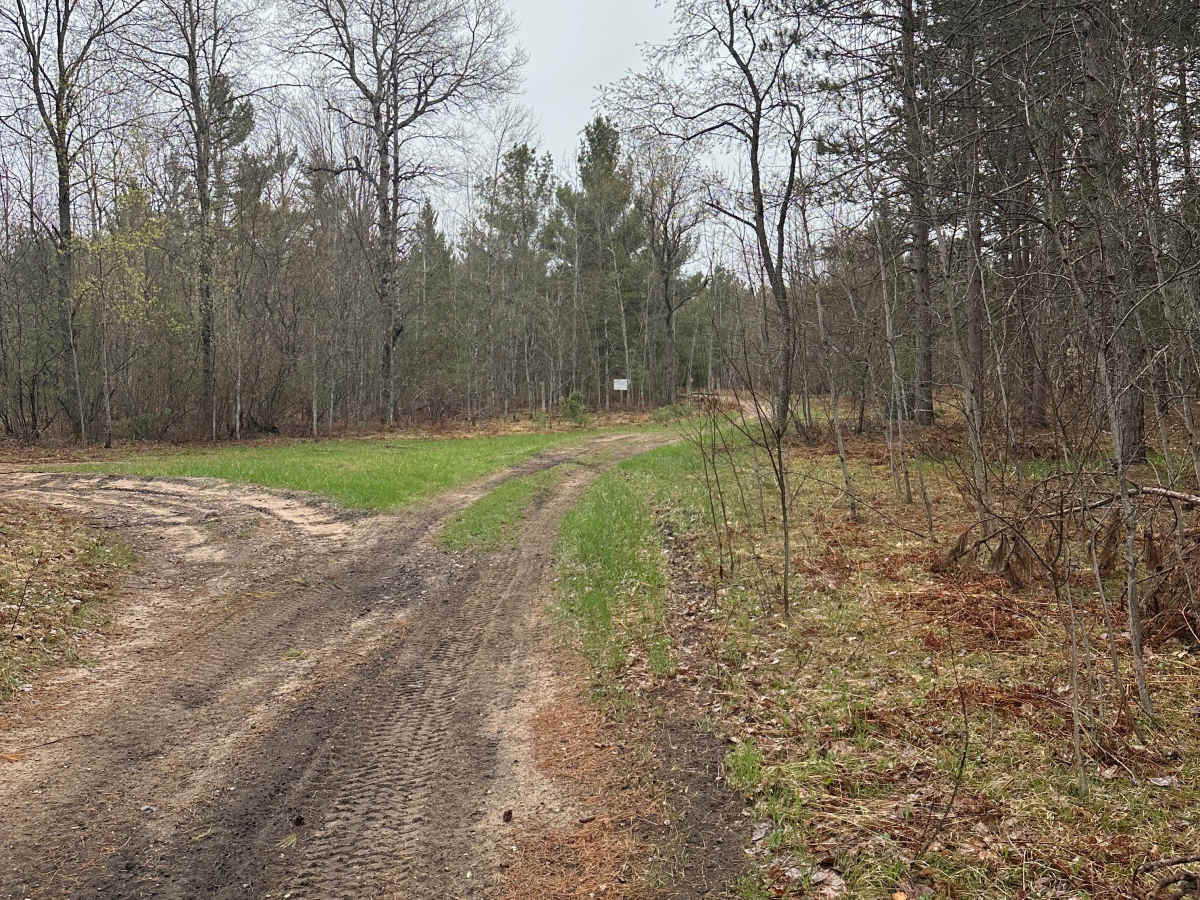 AuSable Loop trail photo