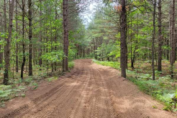 NE Little Manistee Route (344)