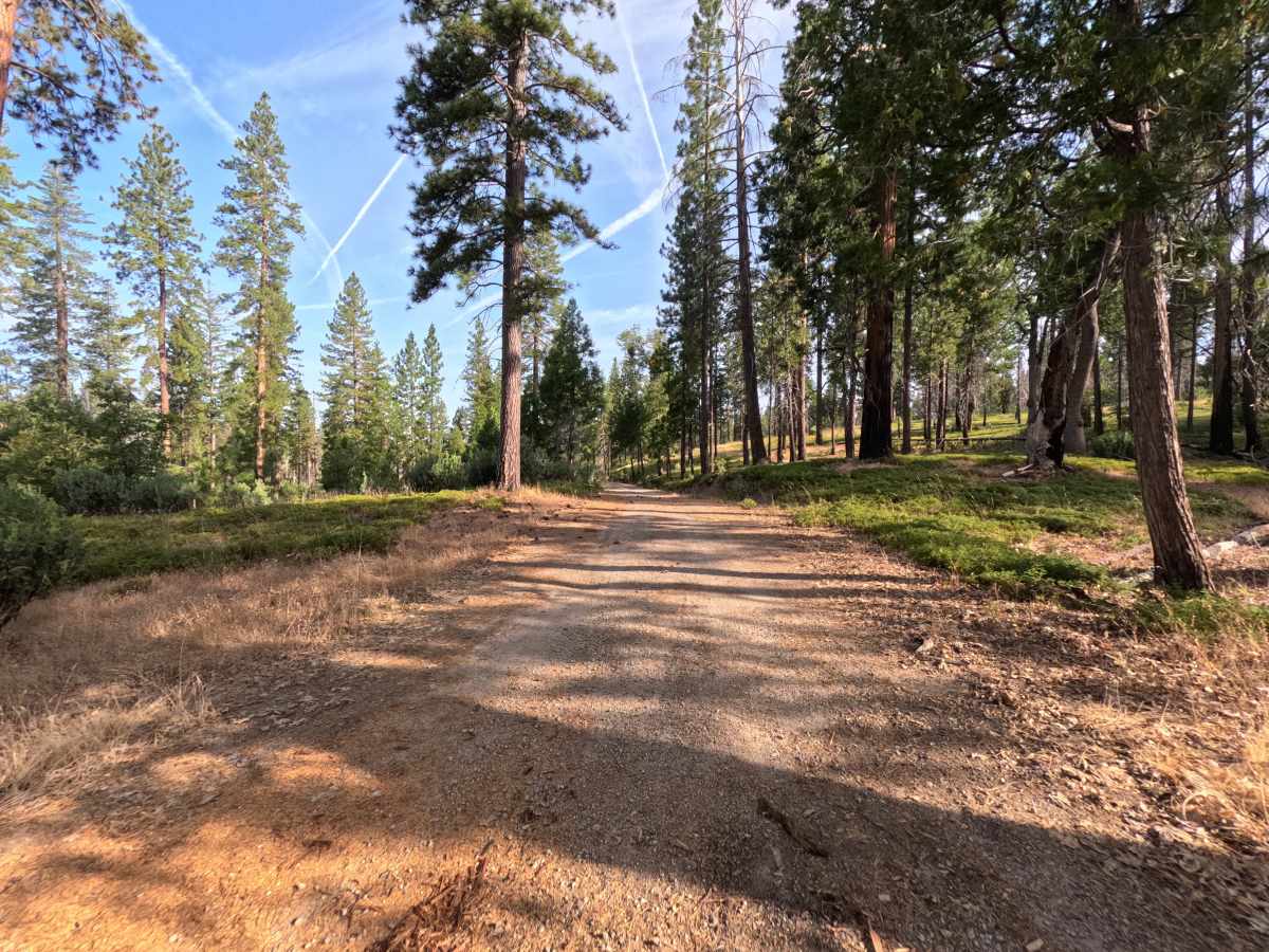 Sawmill Mountain Rd - 1S03 trail photo