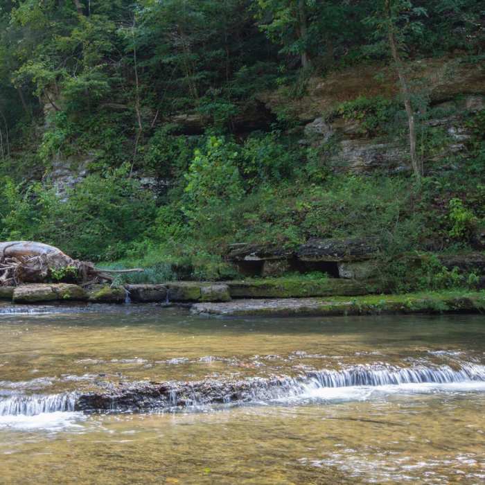 Near Cummins Falls State Park Hike