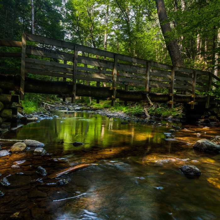 Near Van Campens Glen Hike Near Van Campens Glen Hike