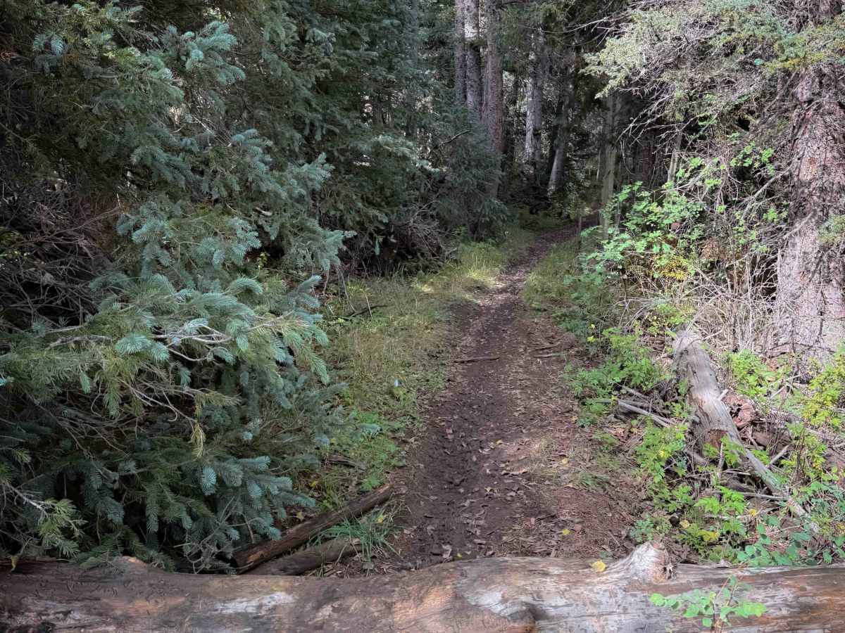 La Cueva Canyon Trail - FS 492  photo 2