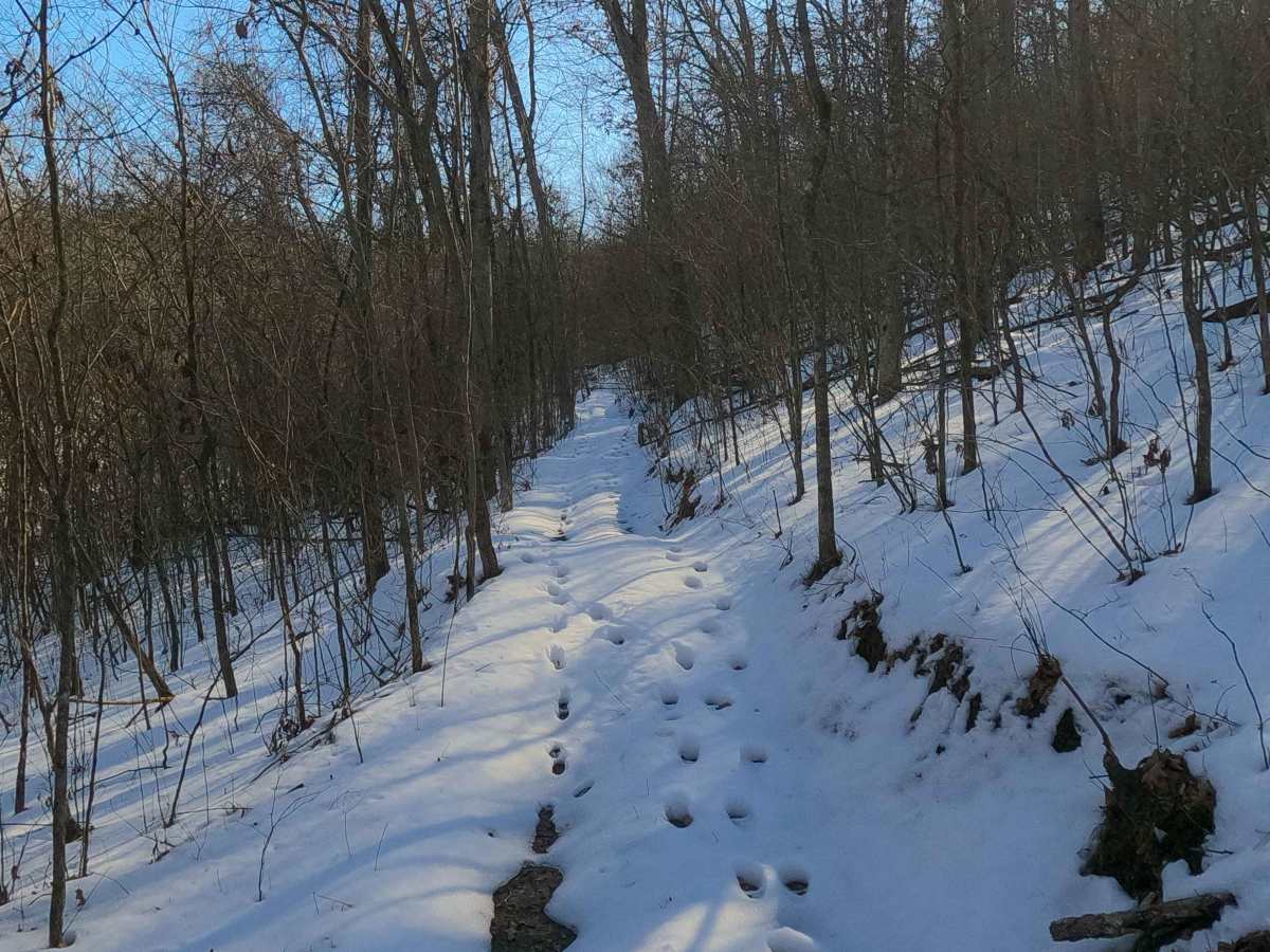 Sutton Bluff ATV 7 South - SB 7 photo 3