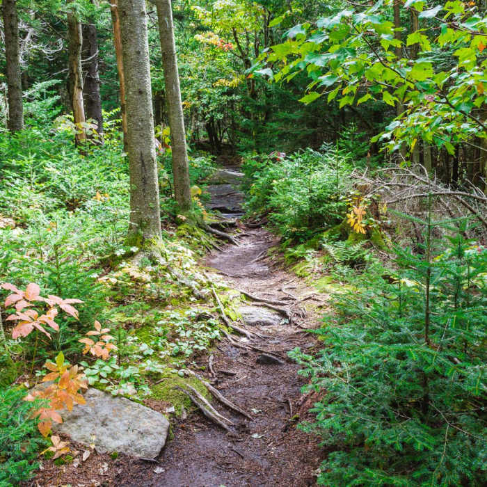 Near Lake Solitude via Summit Trail