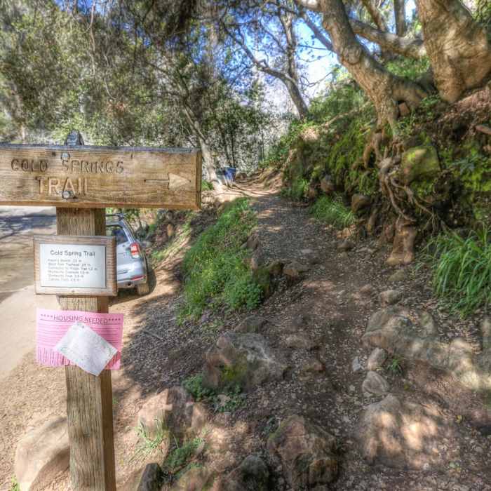 Near Tangerine Falls