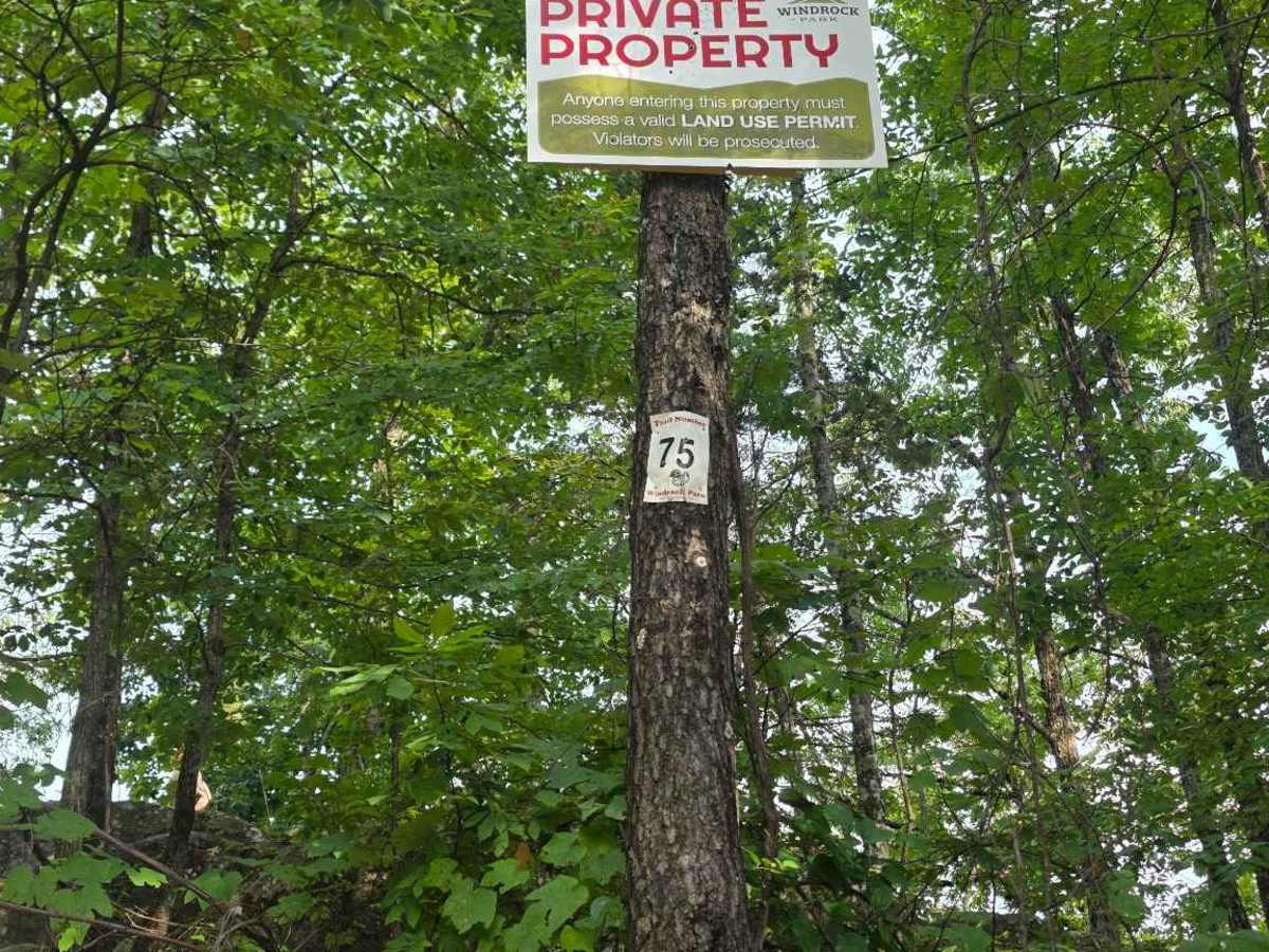 Walden Ridge Road photo 2