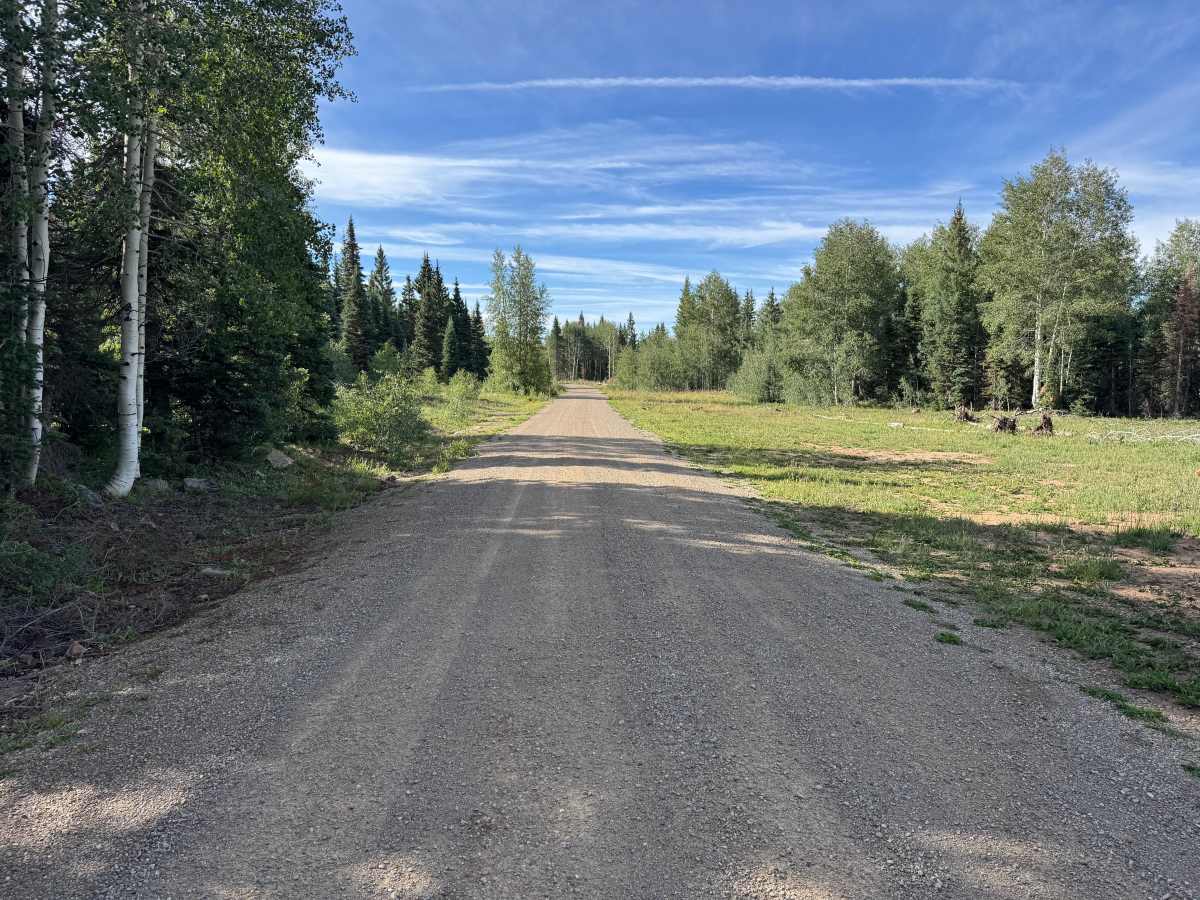 Taylor Mesa Road photo 3