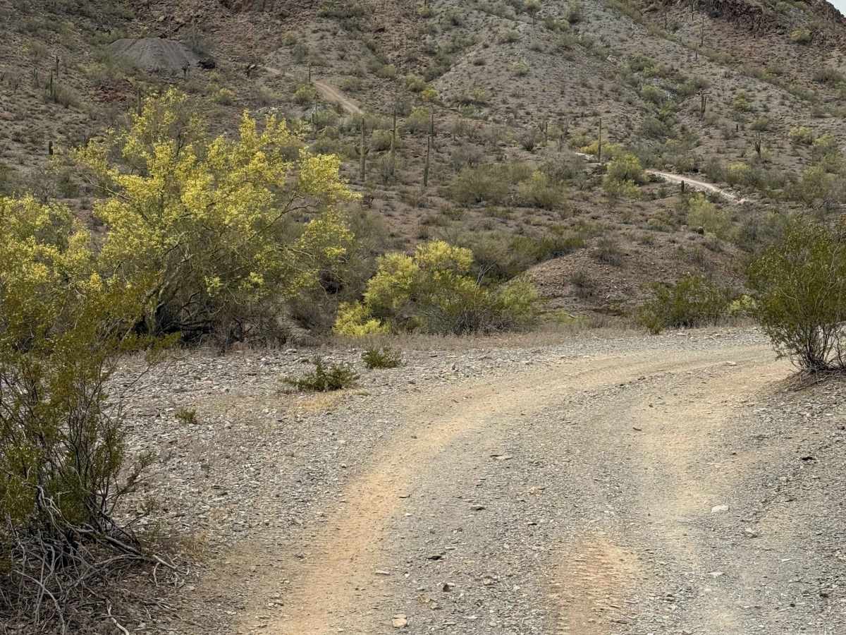 Abandoned Mine Trail - 24010 photo 4