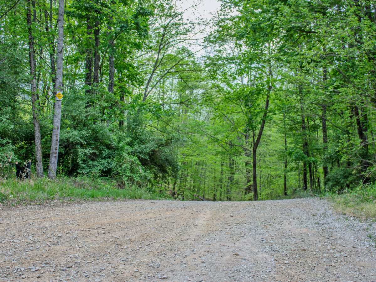 Phillips Cemetery Road  trail photo
