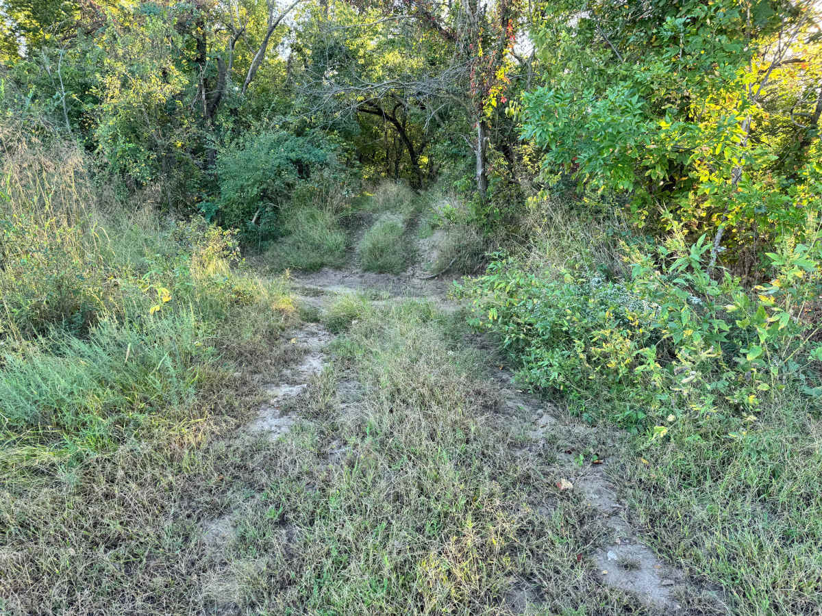 Got Flex trail photo