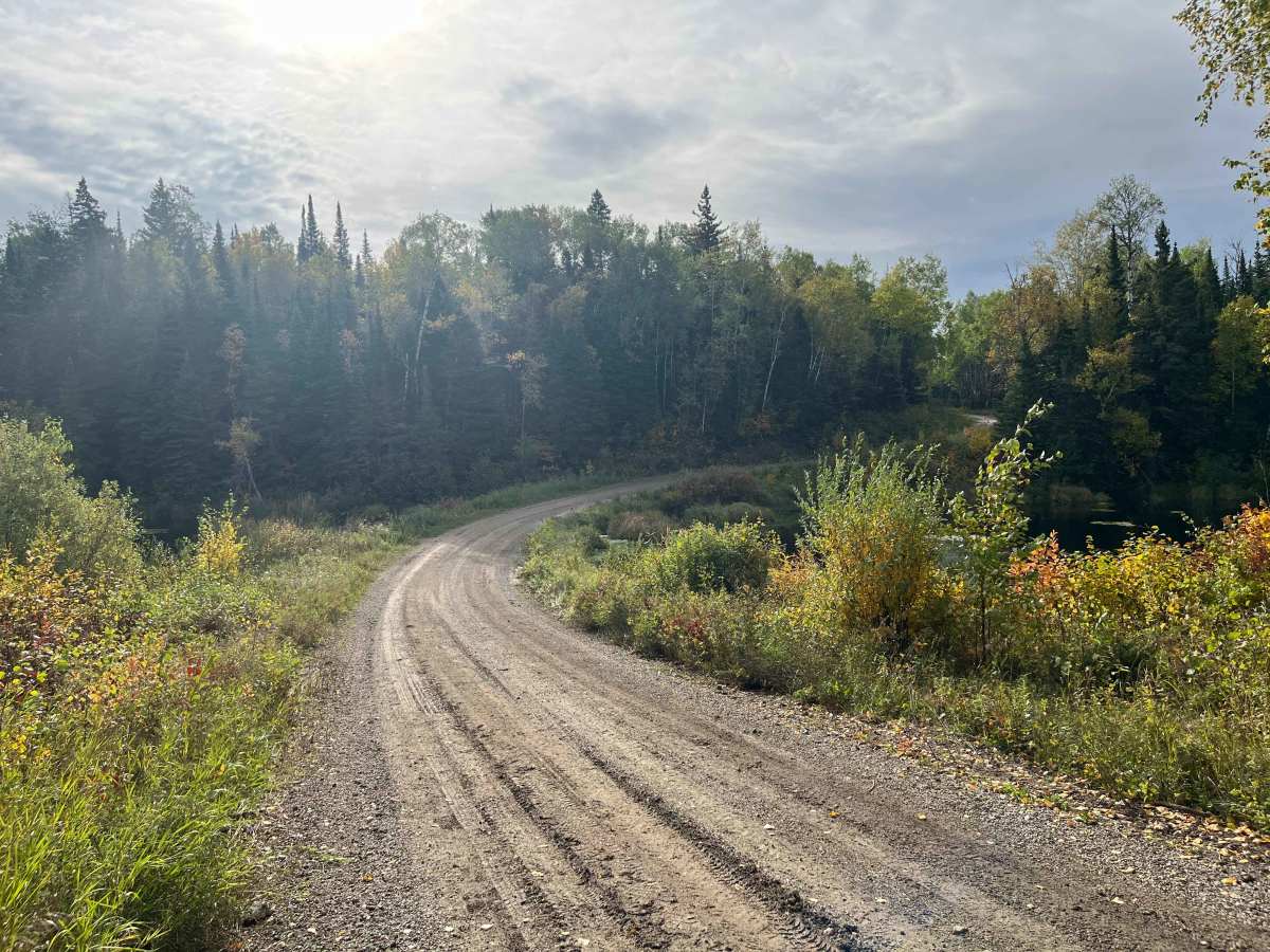 Quesnel Lake Road photo 6