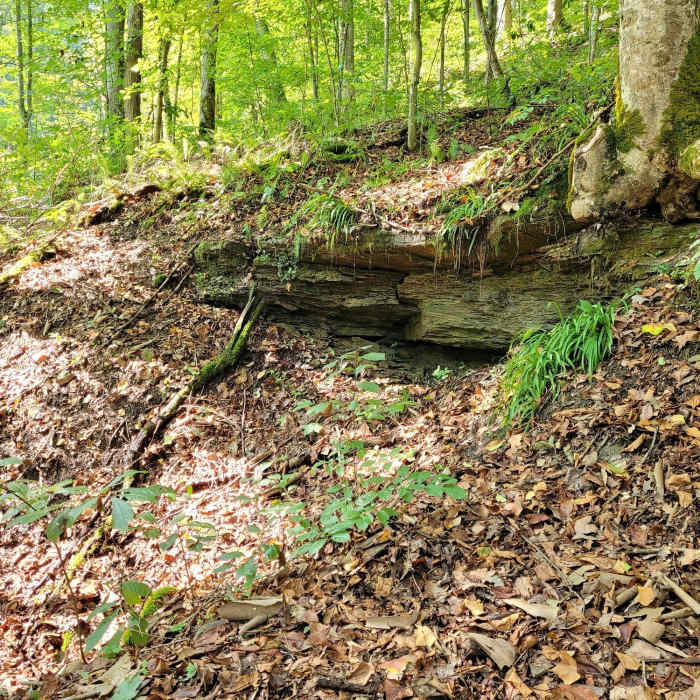 Mine feature. Near Blue Square Trail
