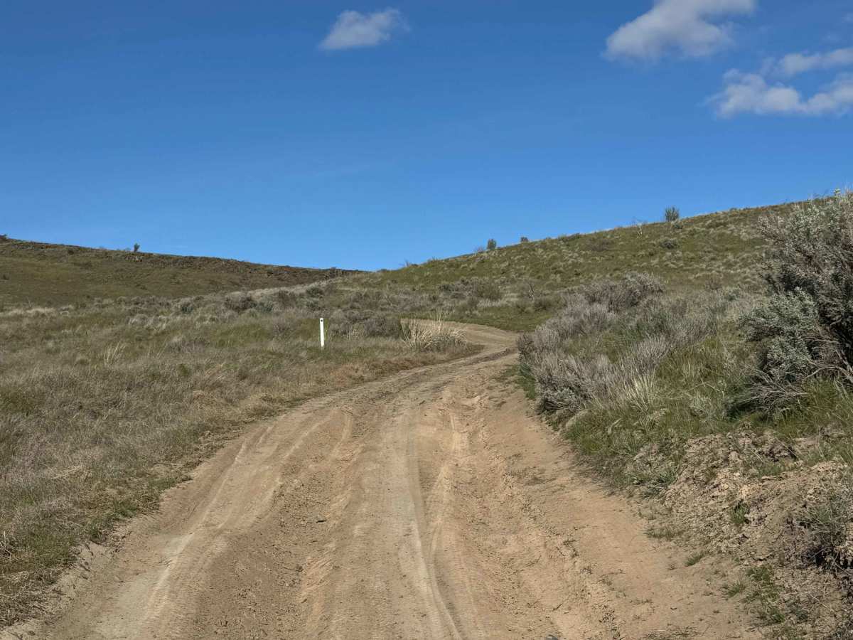 Roza Creek Road photo 5