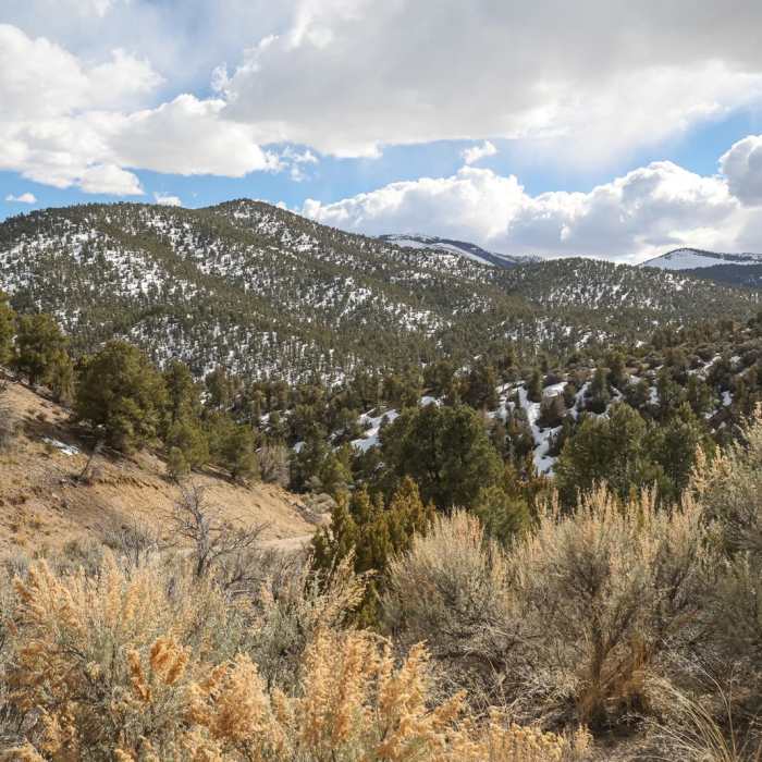 Near Saxton Peak - South Trail