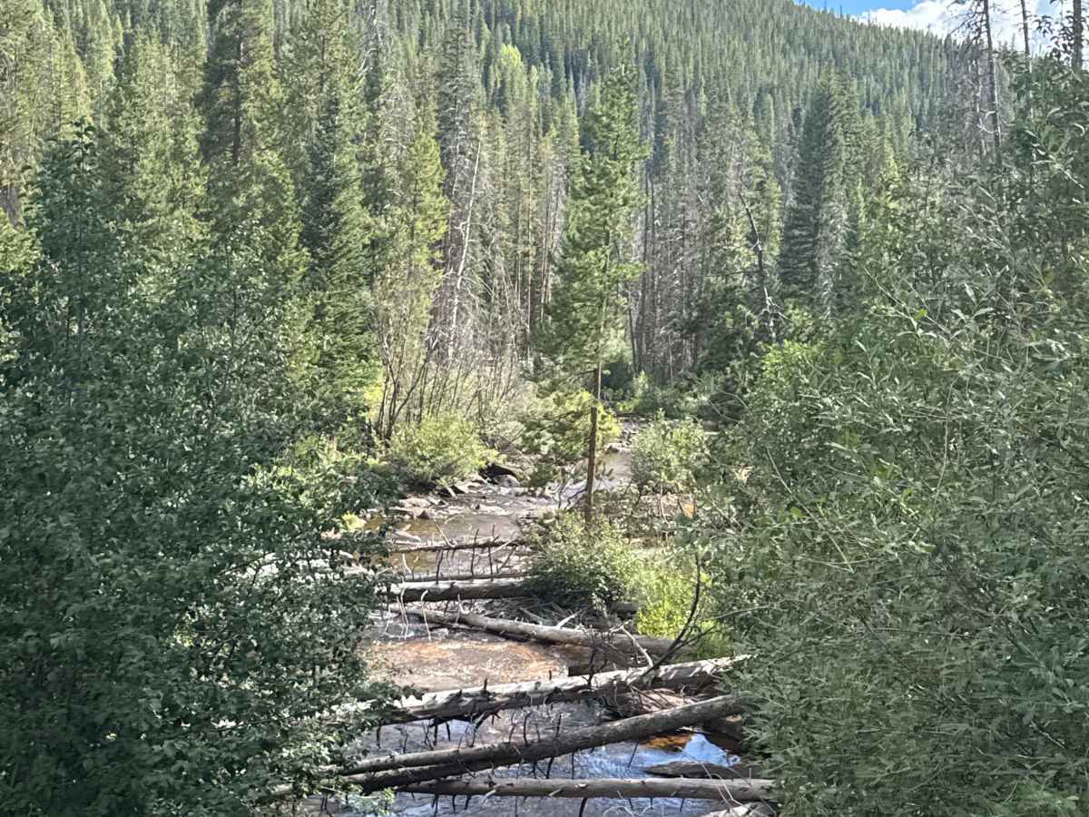 South Fork Piney - FS 701 photo 4