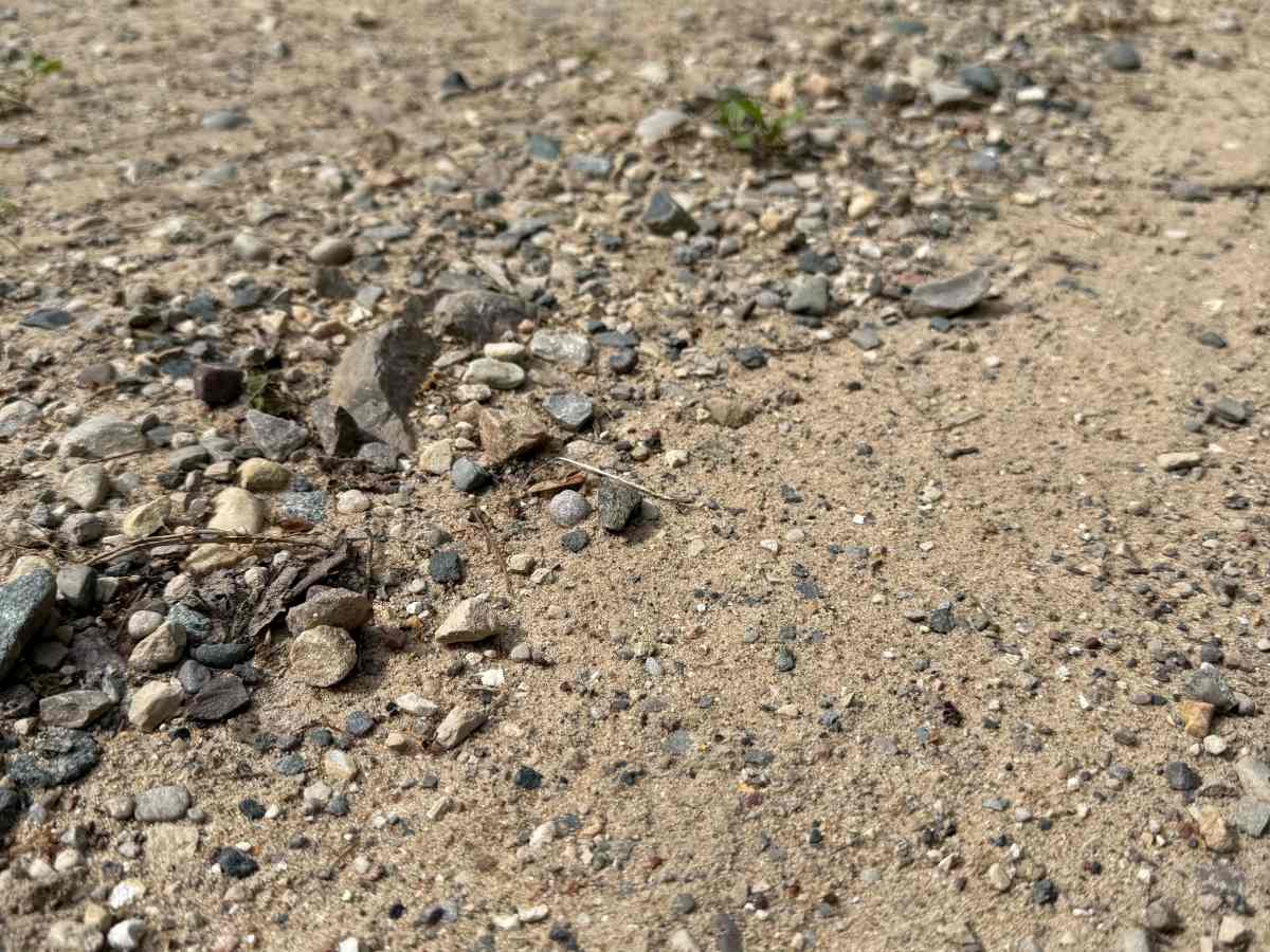 Oil Pump Trail photo 3