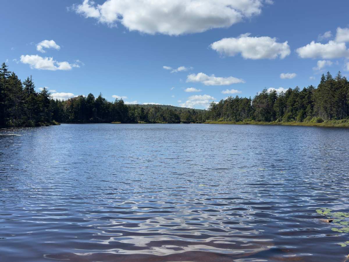 Branch Pond Trail photo 3